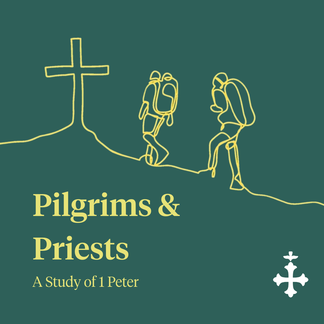 Pilgrims & Priests