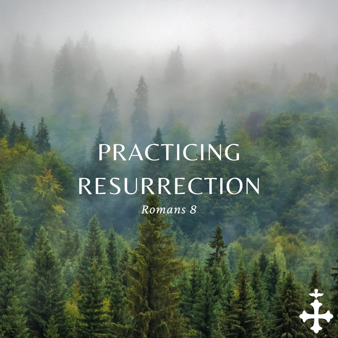 Practicing Resurrection
